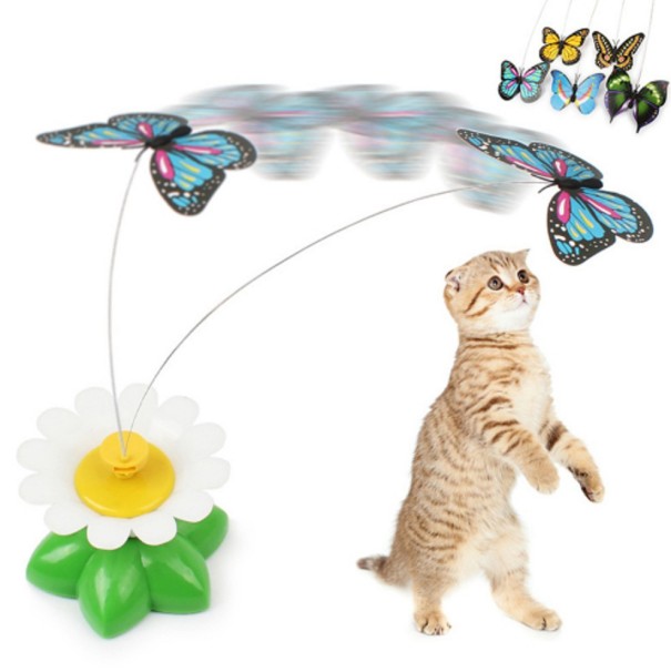Draaiende bloem voor katten