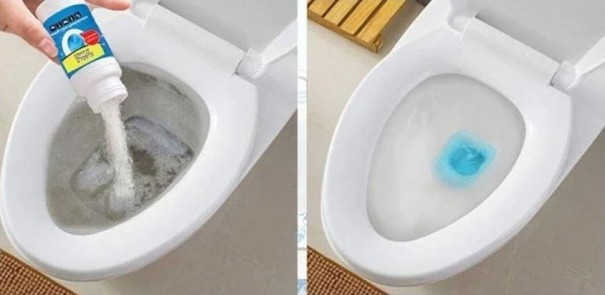 Drain Cleaner T1901 1