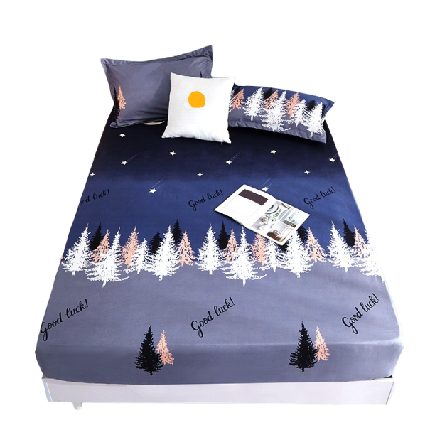 Drap housse 220 x 200 cm 10