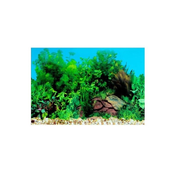 Dubbelzijdige aquariumachtergrond S 8