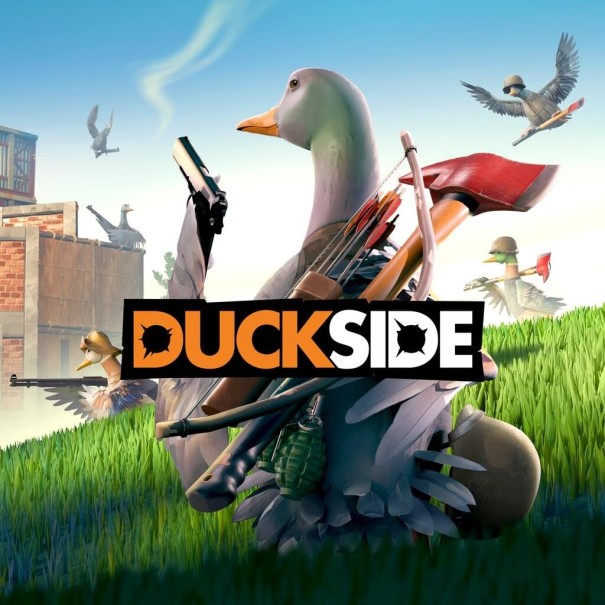 DUCKSIDE PC Steam CD Key CD klíč 1