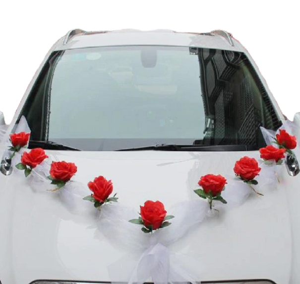 Écharpe de voiture 160 cm 3