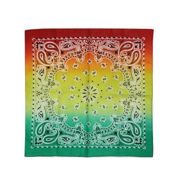Écharpe Ombré 3