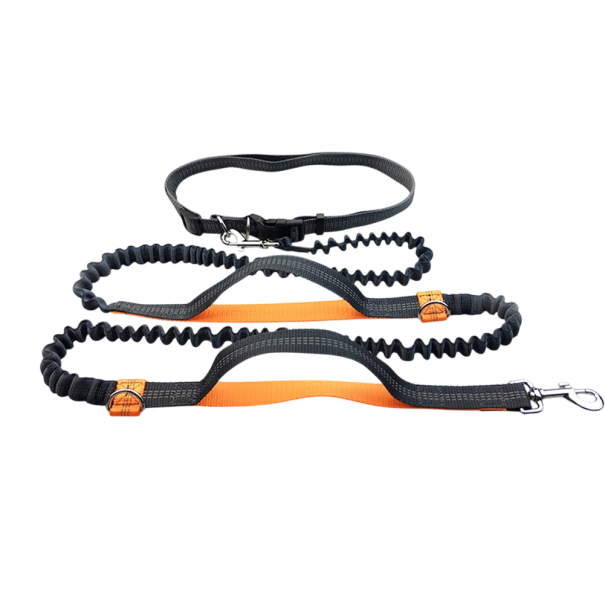 Elastic Dog Lead for Running Around the Waist Hands Free Reflective Lead with Adjustable Belt and Shock Absorber Comfortable Control During Sports orange