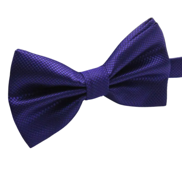 Elegante papillon da uomo Papillon da cerimonia Taglia regolabile Accessorio stiloso per balli, matrimoni ed eventi formali Design classico e moderno viola scuro