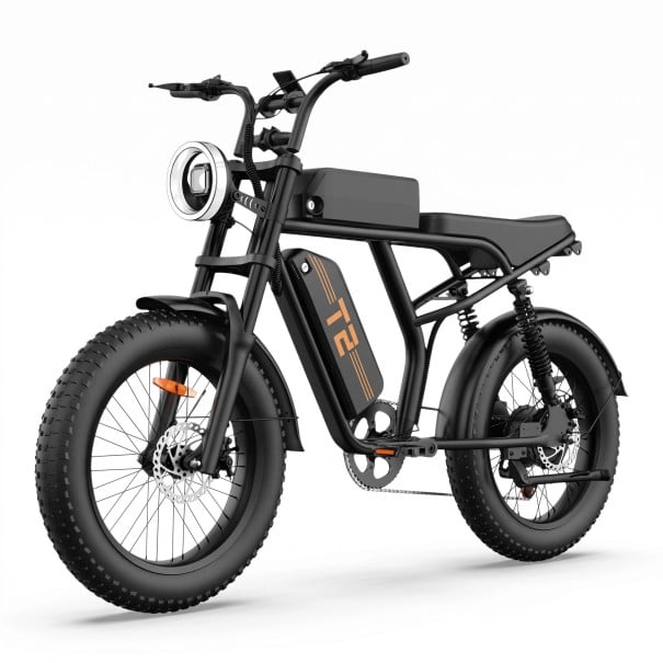 Elektrisches Fahrrad URLIFE T2 Fat Bike Herausnehmbare Batterie 48 V 15,6 Ah Shimano Schaltung Farb-LCD-Display Scheibenbremsen Für Gelände schwarz