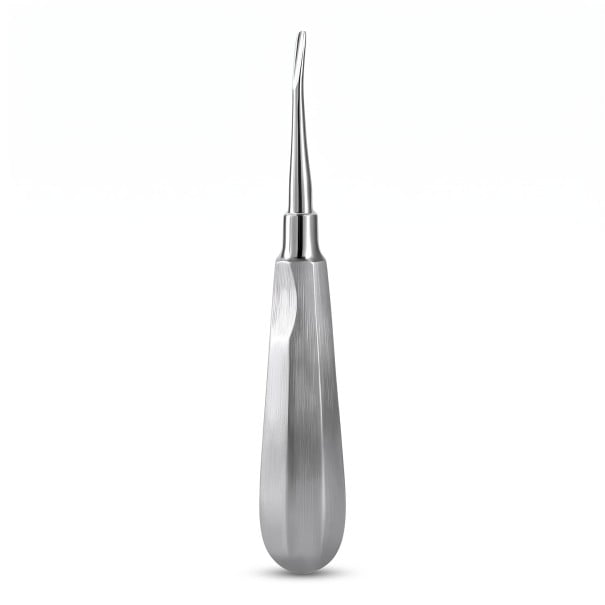 Elevador dental (palanquilla de extracción) con punta curva de 3 mm de acero inoxidable, plateado, instrumento quirúrgico odontológico para extracción de dientes 1