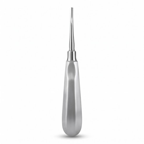 Elevator dentar – pârghie de extracție cu vârf drept de 2,5 mm, oțel inoxidabil, argintiu, instrument chirurgical dentar pentru extracția dinților 1