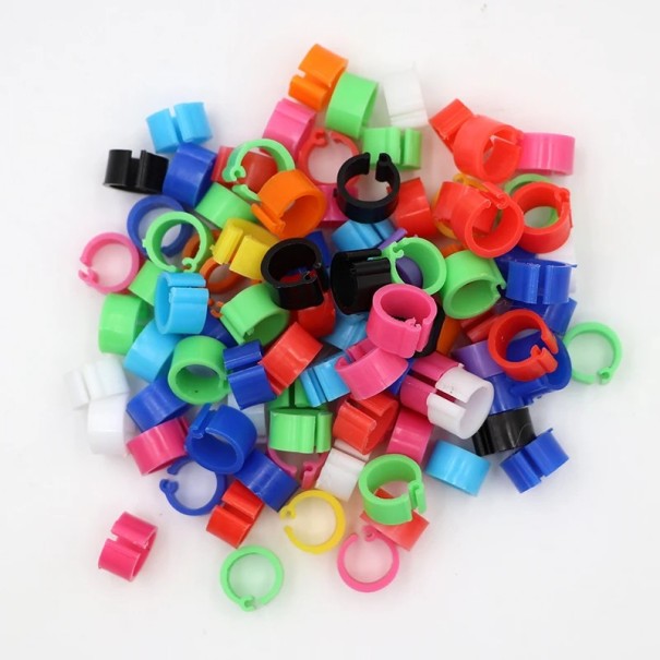 Ensemble de 100 anneaux colorés de 8 mm pour les pattes des oiseaux Clips en plastique pour le baguage des pigeons, perroquets et volailles Étiquettes d'identification pour les oiseaux mélange