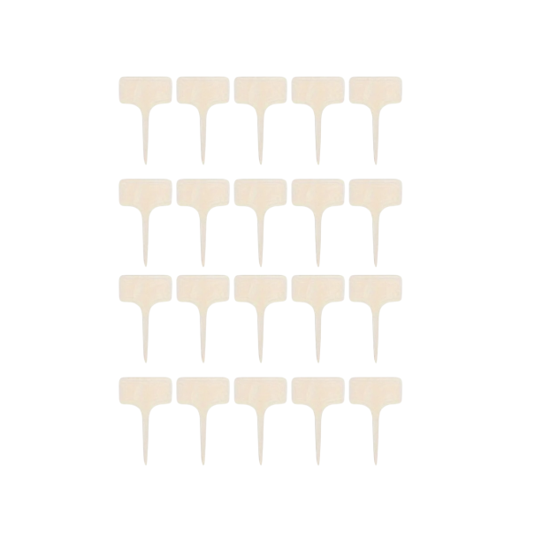 Ensemble de 40 étiquettes en bambou pour plantes 10 cm en forme de T Étiquettes écologiques et étanches pour fleurs et semis 1