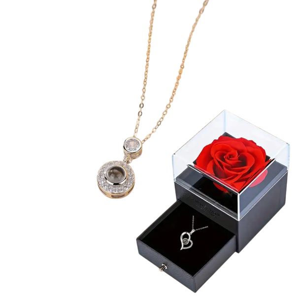 Ensemble de collier projetant Je t'aime en 100 langues Pendentif en cuivre Chaîne en titane Boîte cadeau avec rose Cadeau romantique argenté