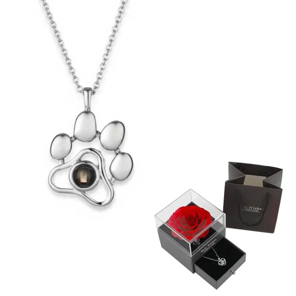 Ensemble de collier projetant une patte J'aime toi en 100 langues Chaîne en titane Pendentif en cuivre Boîte avec rose Cadeau pour les amoureux des chiens argenté