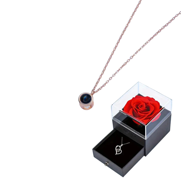 Ensemble de collier projeté avec rose Chaîne en titane Pendentif en cuivre Projection Je t'aime en 100 langues Boîte cadeau Rose gold