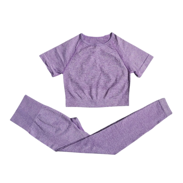 Ensemble de sport pour femmes Leggings et t-shirt à manches courtes Ensemble de fitness uni en nylon, polyester et spandex violet S