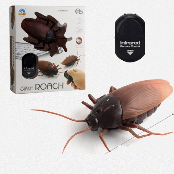 Escarabajo RC 1