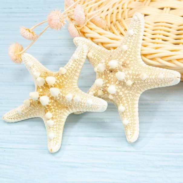 Estrella de mar natural 1
