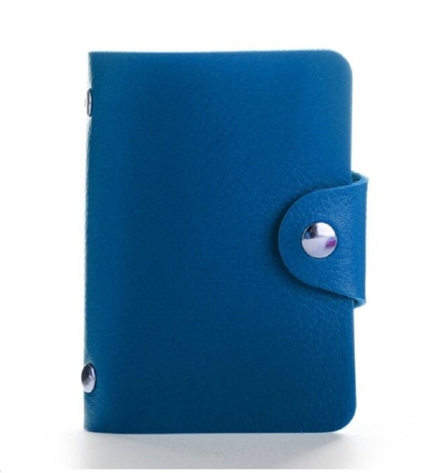 Estuche para documentos de viaje T955 azul