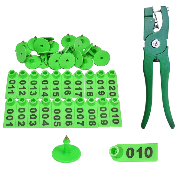Etichette auricolari per animali da allevamento e pistola per applicazione Etichette auricolari 100 pz 001 - 100 verde
