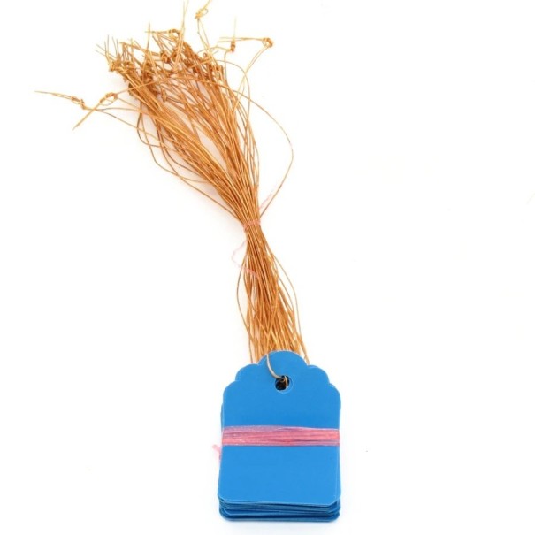 Etiketten für Pflanzen 100 Stück C925 blau