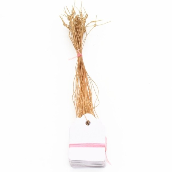Etiquetas para plantas 100 uds C925 blanco
