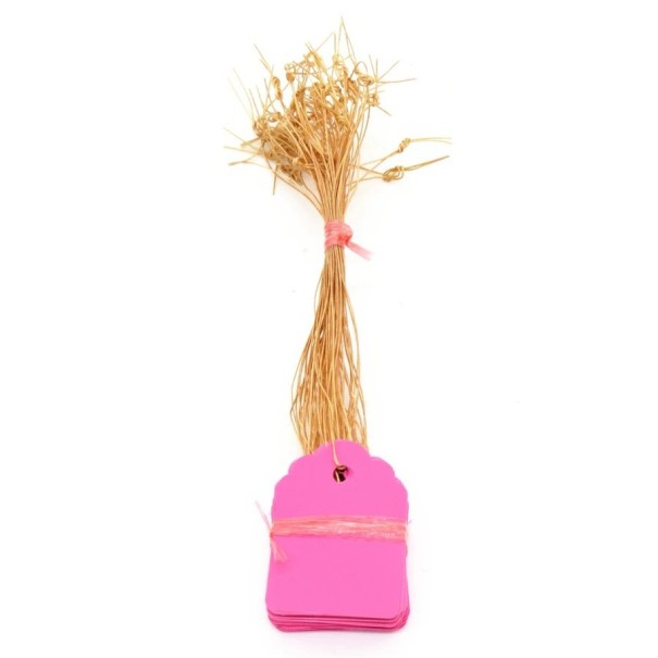 Etiquetas para plantas 100 uds C925 rosa
