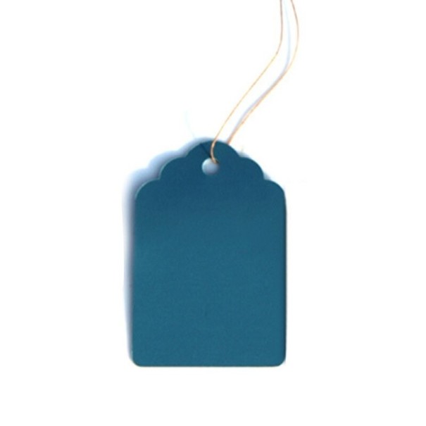 Étiquettes pour plantes 100 pcs bleu 1