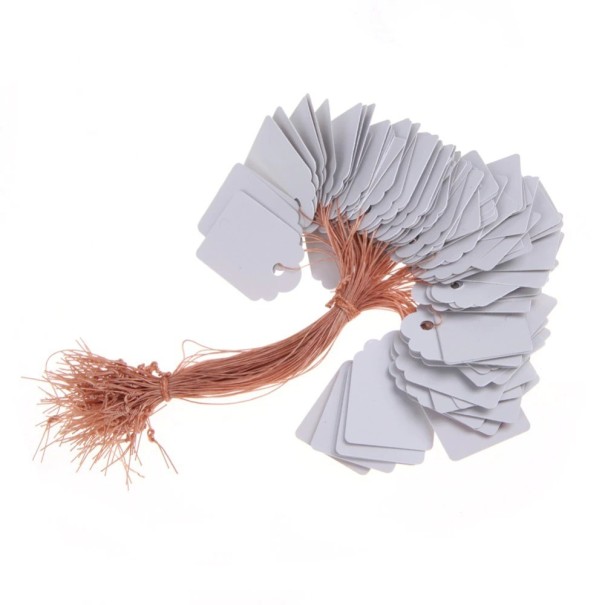 Étiquettes pour plantes 100 pcs H906 1
