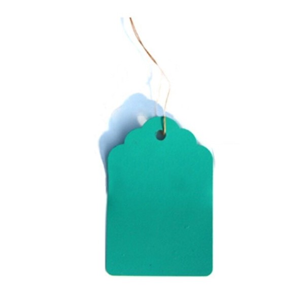 Étiquettes pour plantes 100 pcs vert 1