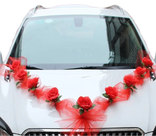 Fascia per auto 160 cm 2