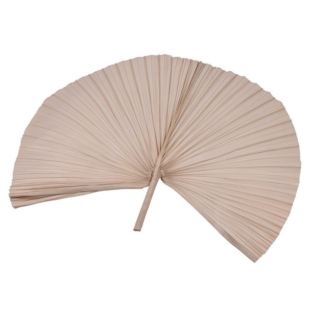 Feuille de palmier séchée 1