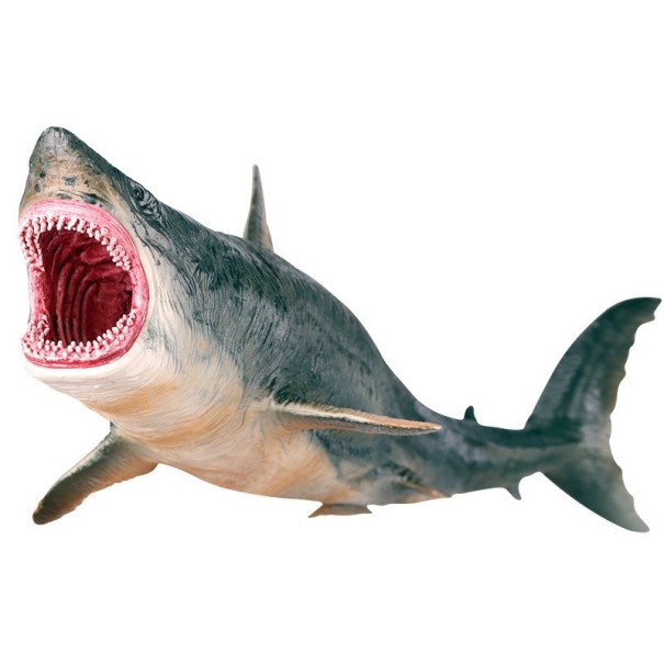 Figurina squalo megalodonte 1