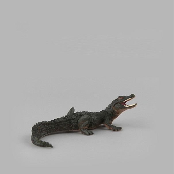 Figurinha crocodilo A937 1