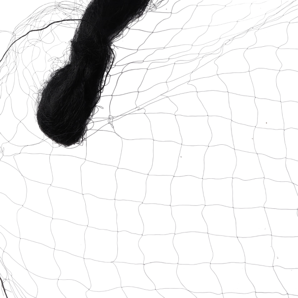 Filet noir en nylon anti-oiseaux 3 x 6 m Maille 1,5 x 1,5 cm Filet de jardin pour protéger les arbres, les buissons, les parterres, les vignes, les balcons et les pergolas 1
