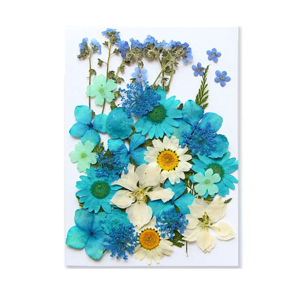 Fiori blu e bianchi pressati in resina Decorazione rettangolare Ornamento naturale fatto a mano Accessorio per la casa originale 1