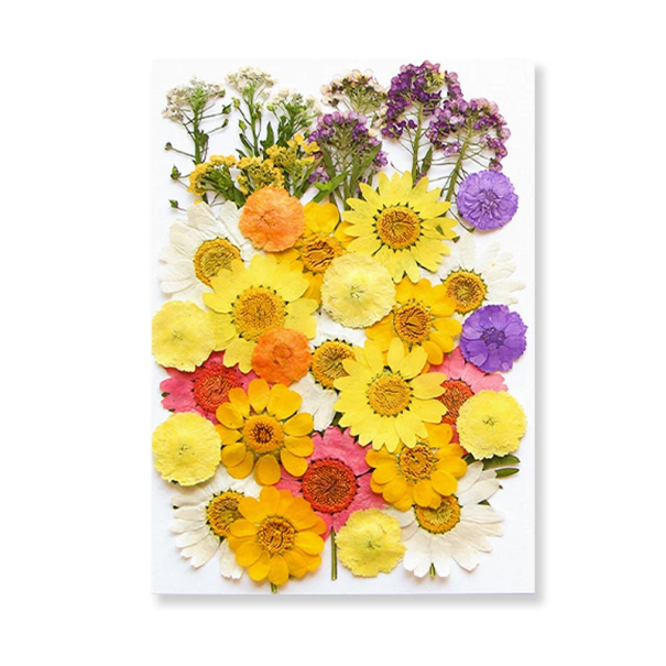 Fiori pressati in resina Forma rettangolare Decorazione Fiori gialli bianchi rosa viola Artigianato Resina epossidica 1