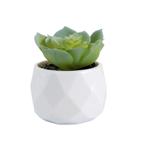Fiori succulenti artificiali in vaso Piante decorative in plastica Fiori artificiali per interni Decorazione moderna con piante succulente 1