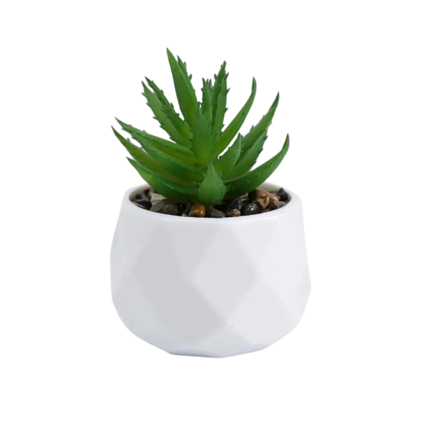 Fiori succulenti artificiali mini cactus in vaso di plastica Piante decorative finte Decorazione verde realistica per la casa e l'ufficio 1