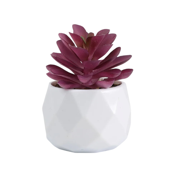Fiori succulenti artificiali viola mini decorazione in vaso Piante finte in plastica Fiori realistici per appartamenti e uffici 1