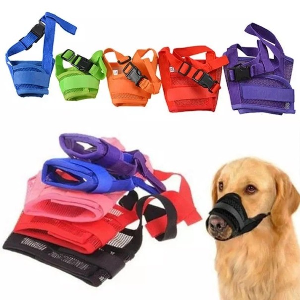 Fixatiemuilkorf voor honden