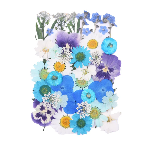 Fleurs pressées bleues, blanches et violettes dans de la résine Forme rectangulaire Matériau décoratif pour bijoux Fabrication de pendentifs et décorations 1