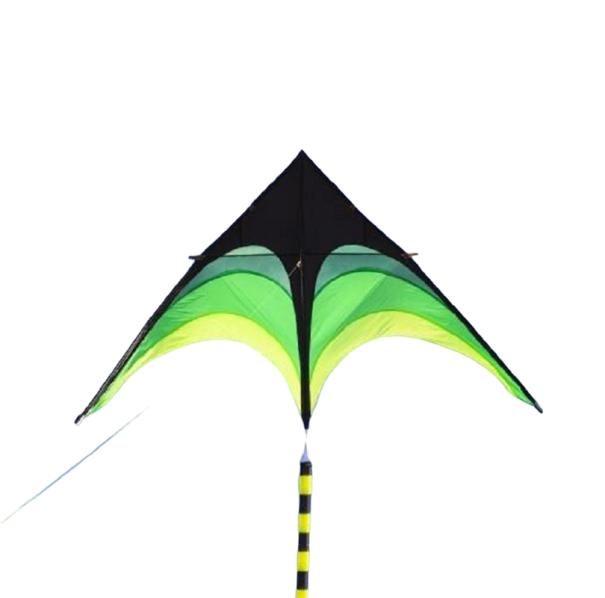 Fliegender Drachen 2 m 1