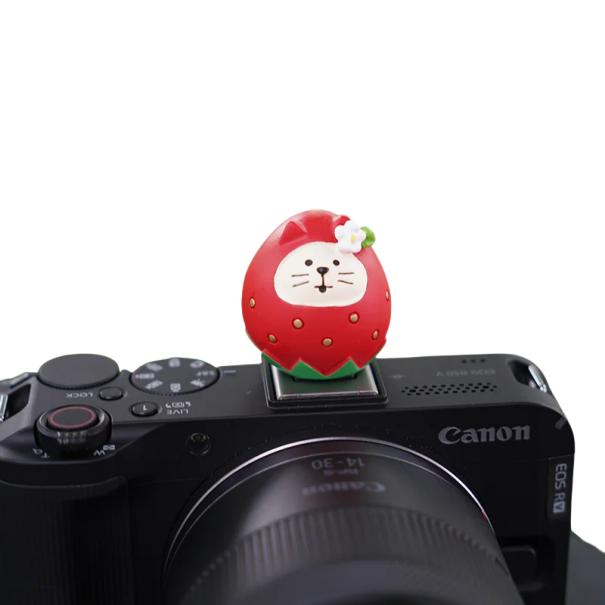 Flitskap voor camera Kat in Aardbei voor Sony Nikon Canon Fuji Fujifilm Pentax Leica Olympus universele flitsbescherming 1