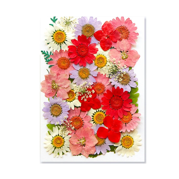 Flores prensadas em resina Forma retangular Vermelhas Rosas Roxas Brancas Decorações DIY fabrico de adornos em resina 1