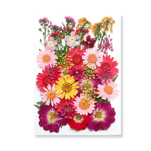 Flores prensadas rosa, vermelha e amarela em resina Forma retangular Decoração decorativa em resina Artesanal Objeto de presente 1