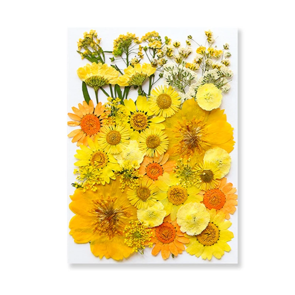 Flori presate galbene în rășină Formă dreptunghiulară Pandantiv decorativ din rășină Fabricat manual Decorație florală 1