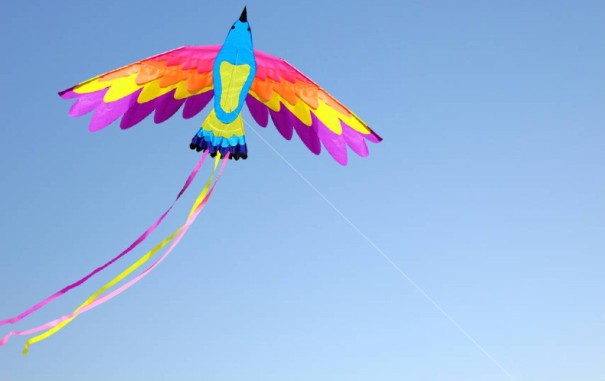 Flyvende drage i form af en fugl 1