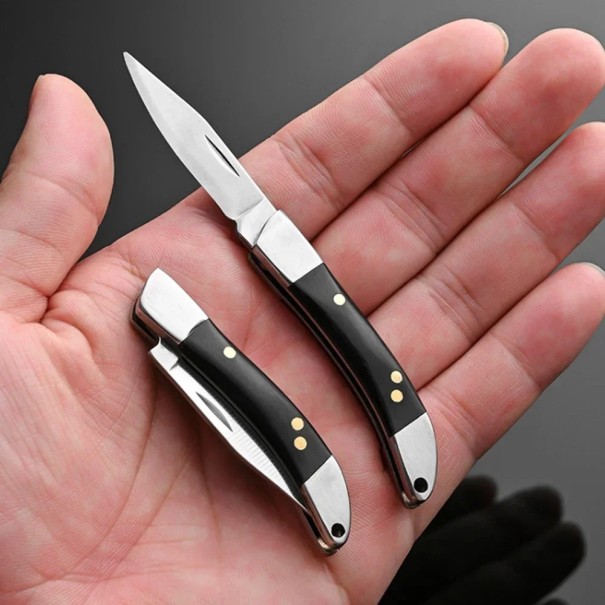 Foldbar lommekniv i rustfrit stål 10 cm kompakt EDC-lommekniv foldekniv til rejser udendørs værktøj camping vandreture overlevelsesture sort