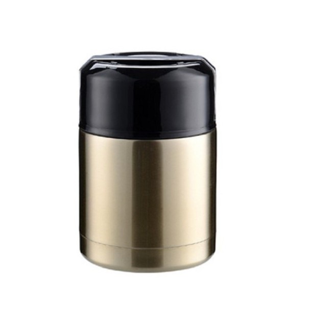 Food Thermobox gold S