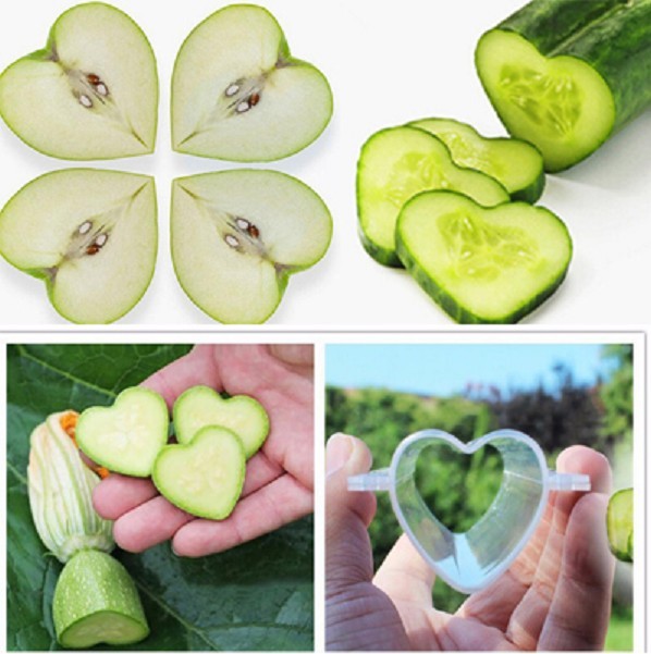 Forma na tvarování růstu ovoce a zeleniny J666 dlouhé srdce
