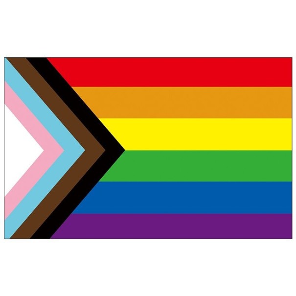 Fortschritt-Regenbogenfahne 90 x 150 cm 1